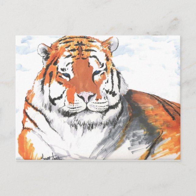 Cartão Postal Tigre (Frente)