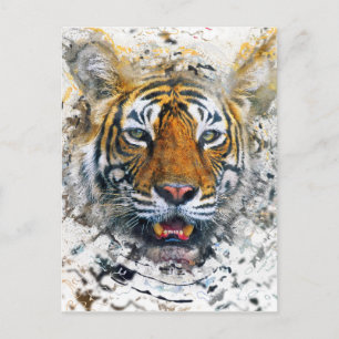 Cartão Postal Tigre