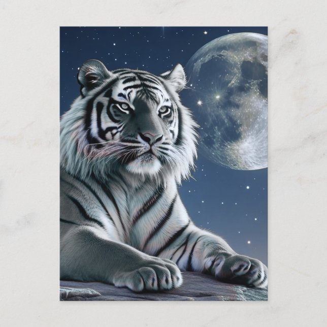 Cartão Postal Tigre branco (Frente)