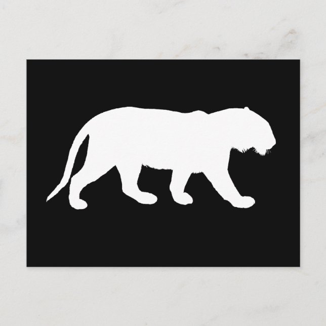 Cartão Postal Tigre Branco (Frente)