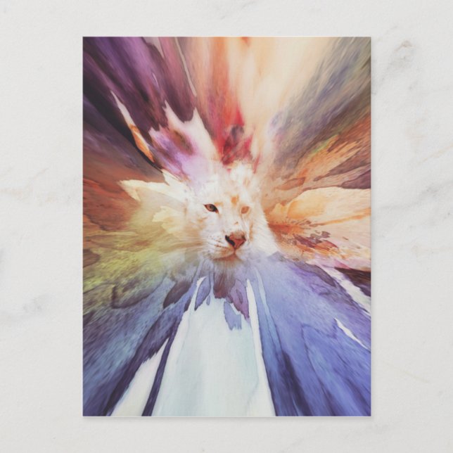 Cartão Postal Tigre Branco (Frente)