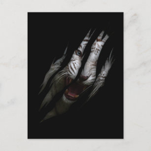 Cartão Postal Tigre Branco Tornando Garra Selvagem Safari Animal