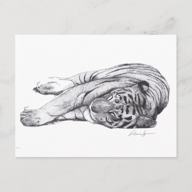 Cartão Postal Tigre - Caneta e Tinta (Frente)