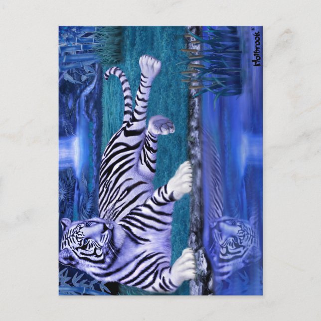 CARTÃO POSTAL TIGRE DA SELVA.JPEG (Frente)