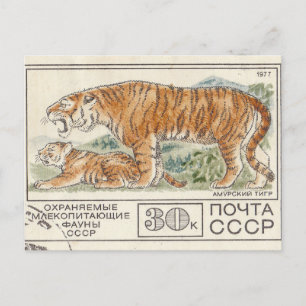 Cartão Postal Tigre de amur de selo postal soviético