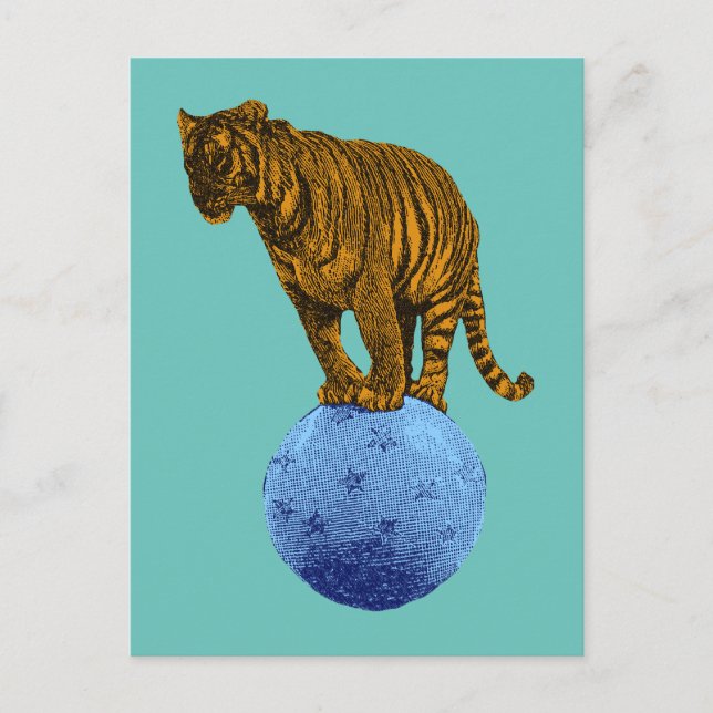 Cartão Postal Tigre de Circo Vintage (Frente)