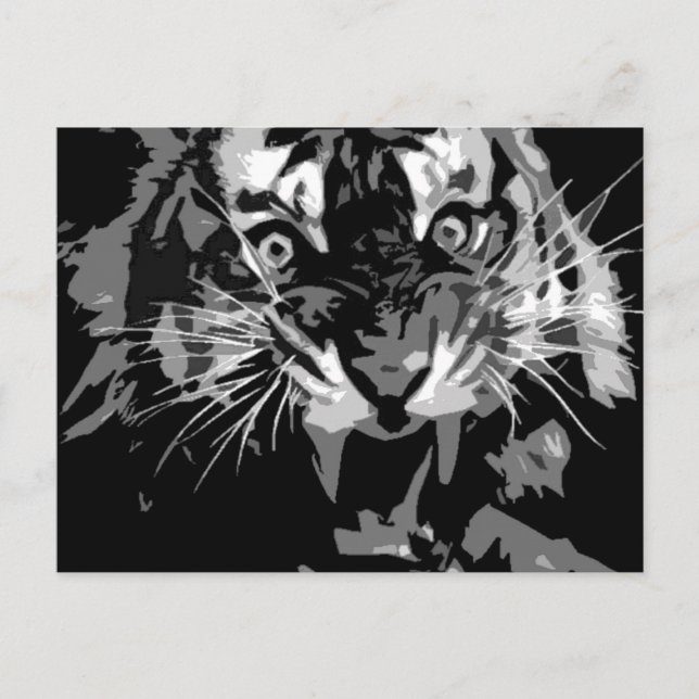 Cartão Postal Tigre de Raios Preto e Branco (Frente)