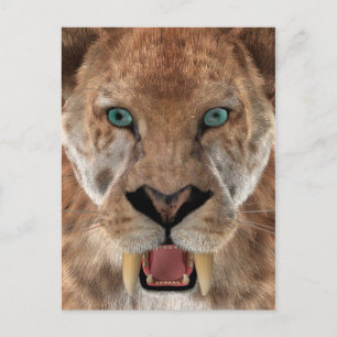 Cartão Postal Tigre Dente de Sabre ou Smilodon
