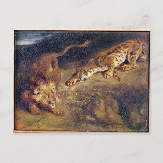 Cartão Postal Tigre e Leão (Frente)