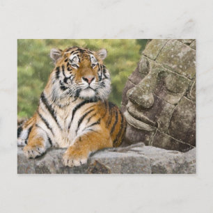 Cartão Postal Tigre e Templo Budista
