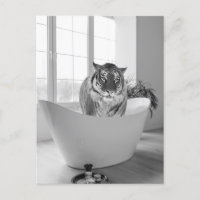 Tigre na Banheira Arte de banheiro preto e branco