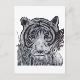 Cartão Postal Tigre na Grama