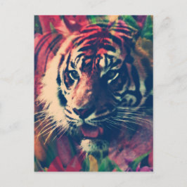 Cartão Postal Tigre no Campo Florido