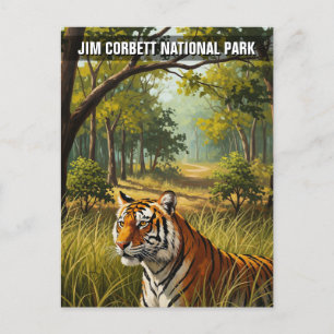 Cartão Postal Tigre no Parque Nacional Jim Corbett