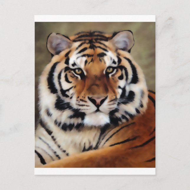 Cartão Postal Tigre por Psyco (Frente)