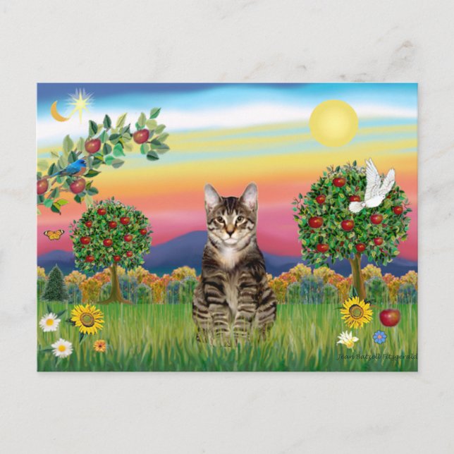Cartão Postal Tigre Tabby Cat 1 - País Brilhante (Frente)