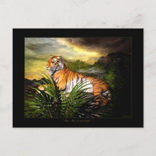 Cartão Postal Tigre, Tigre, Cartaz Brilhante De Queima