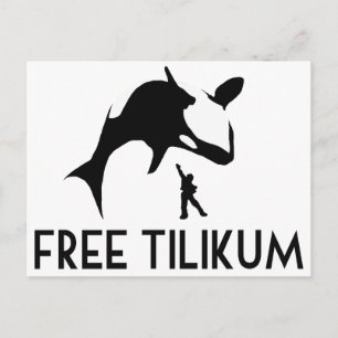 Cartão Postal Tilikum Livre Salve a Baleia Assassina Orca