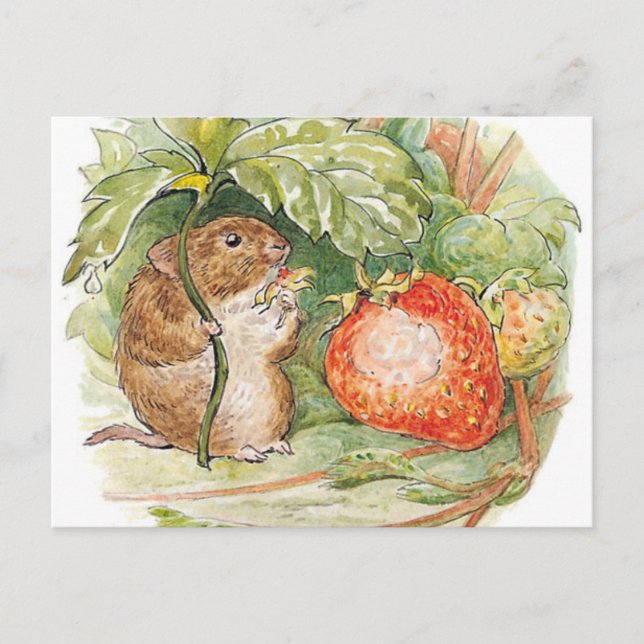 Cartão Postal Timmy Willie Mouse - Beatrix Potter (Frente)