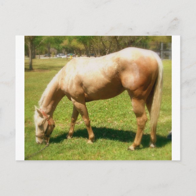 Cartão Postal Tinta (Frente)