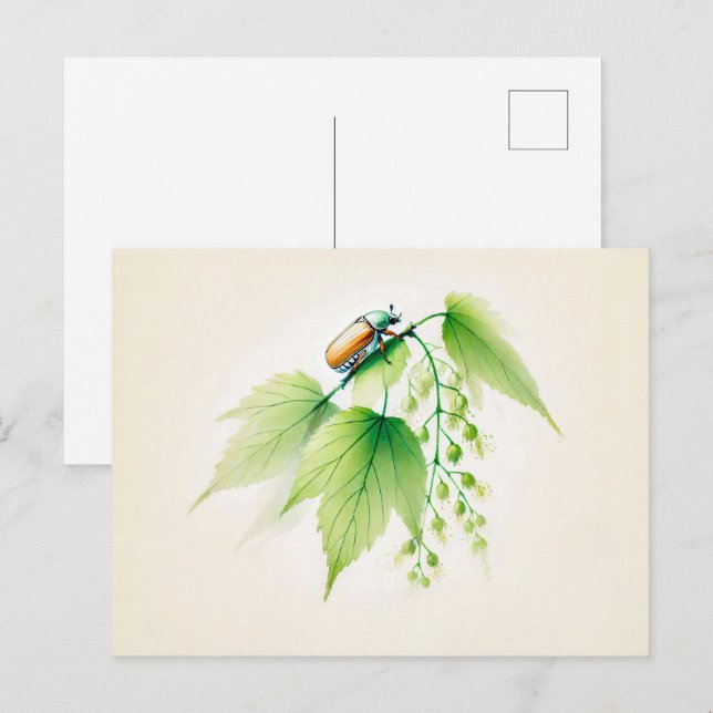 Cartão Postal Tinta chinesa pode Inseto em Linden (Frente/Verso)