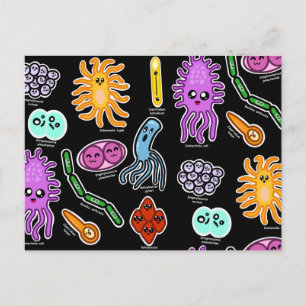 Cartão Postal Tipos De Bactérias