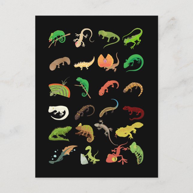 Cartão Postal Tipos de Répteis Lagartixa Lagarto Fofo (Frente)