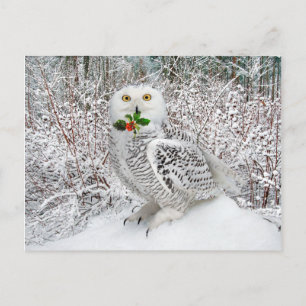 Cartão Postal "T'is The Season"