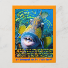 Cartão Postal Titan Triggerfish, para a criança, um humorístico 