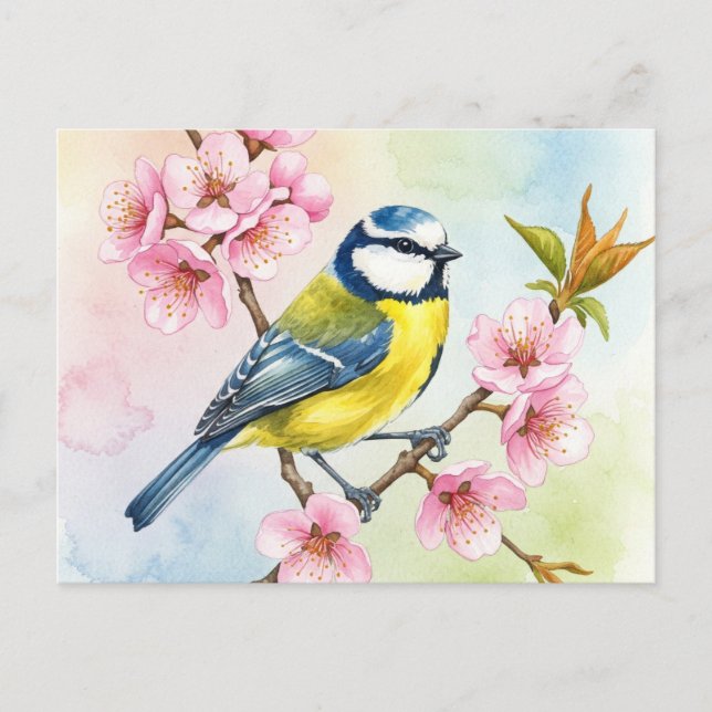 Cartão Postal Titmouse, Sakura, Primavera (Frente)