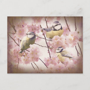 Cartão Postal Tits Azuis Vintage