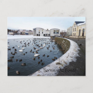 Cartão Postal Tjornin (Pond) ~ Reykjavik, Islândia