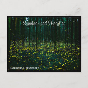 Cartão postal TN do Tennessee Gatlinburg