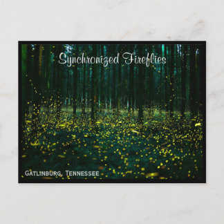 Cartão postal TN do Tennessee Gatlinburg