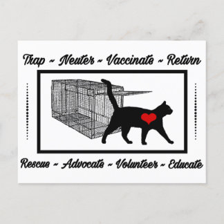 Cartão Postal TNR Cat Resgate Trap Neuter Return Adote Volunteer