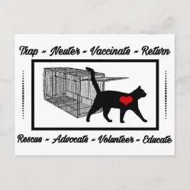 Cartão Postal TNR Cat Resgate Trap Neuter Return Adote Volunteer
