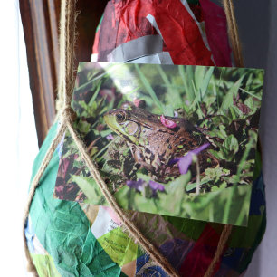 Cartão Postal Toad Love