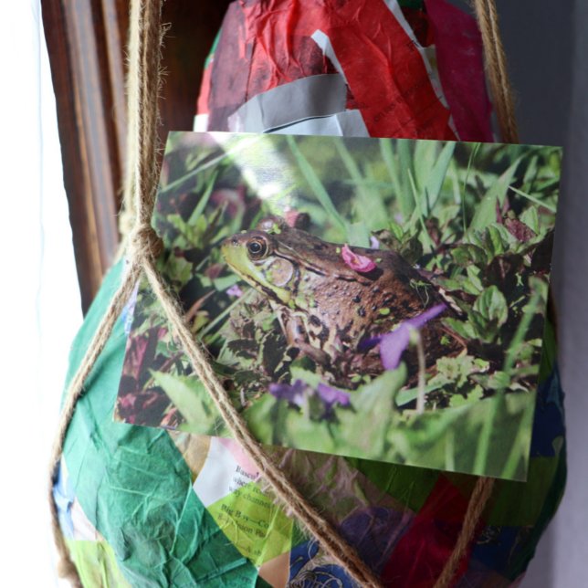 Cartão Postal Toad Love (Criador carregado)