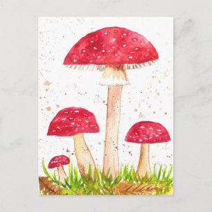 Cartão Postal Toadool Mushroom Floresta aquarela Vermelha Nature