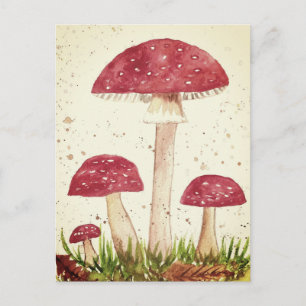 Cartão Postal Toadool Mushroom Floresta aquarela Vermelha Nature