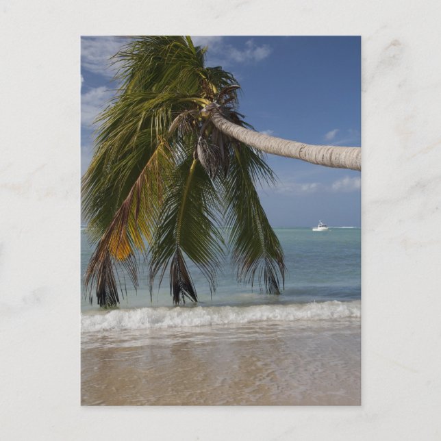 Cartão Postal Tobago_-1926 (Frente)