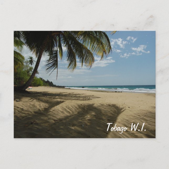 Cartão Postal Tobago W.I. (Frente)