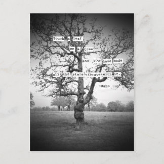 Cartão Postal Tocar uma folha...