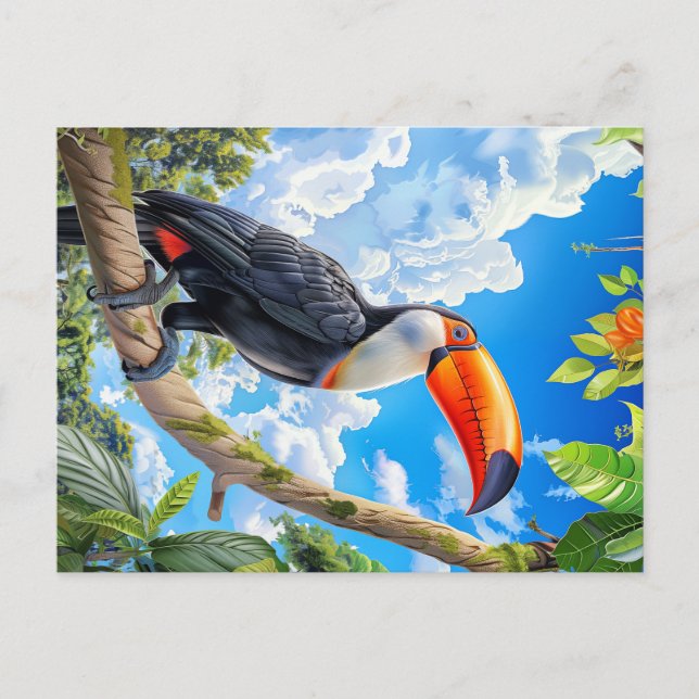 Cartão Postal Toco Toco (Frente)