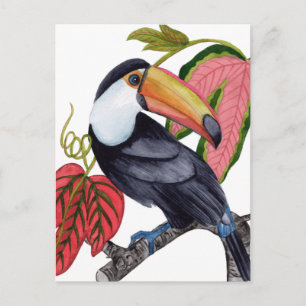 Cartão Postal Toco Toucan