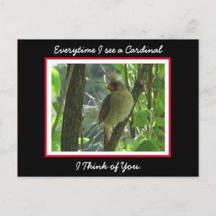 Cartão Postal Toda vez que vejo um Cardinal penso em Você