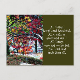 Cartão Postal Todas as coisas brilhantes e bonitas
