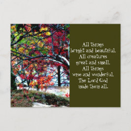 Cartão Postal Todas as coisas brilhantes e bonitas