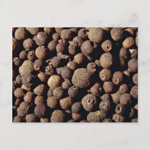 Cartão Postal Todas as especiarias