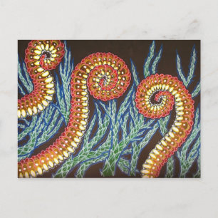 Cartão Postal Todo Mundo Chega De Algum Modo